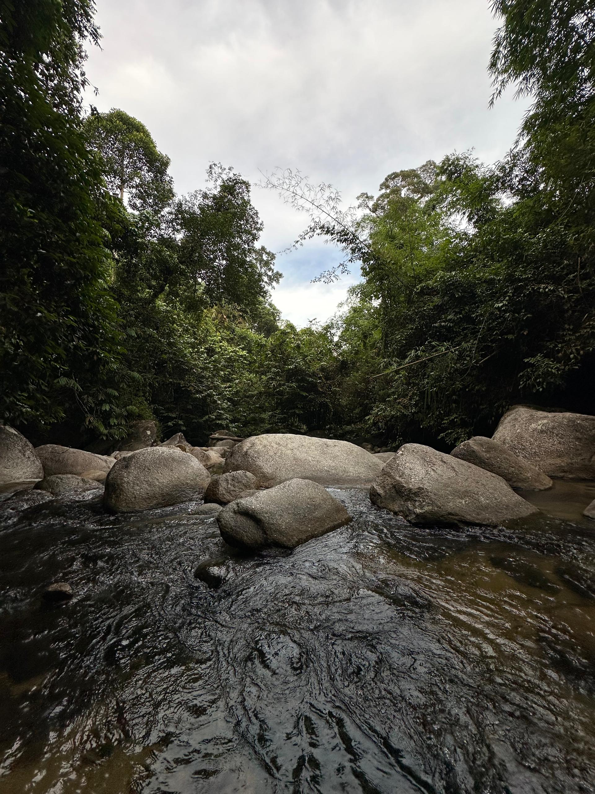 Beautiful natural landscape