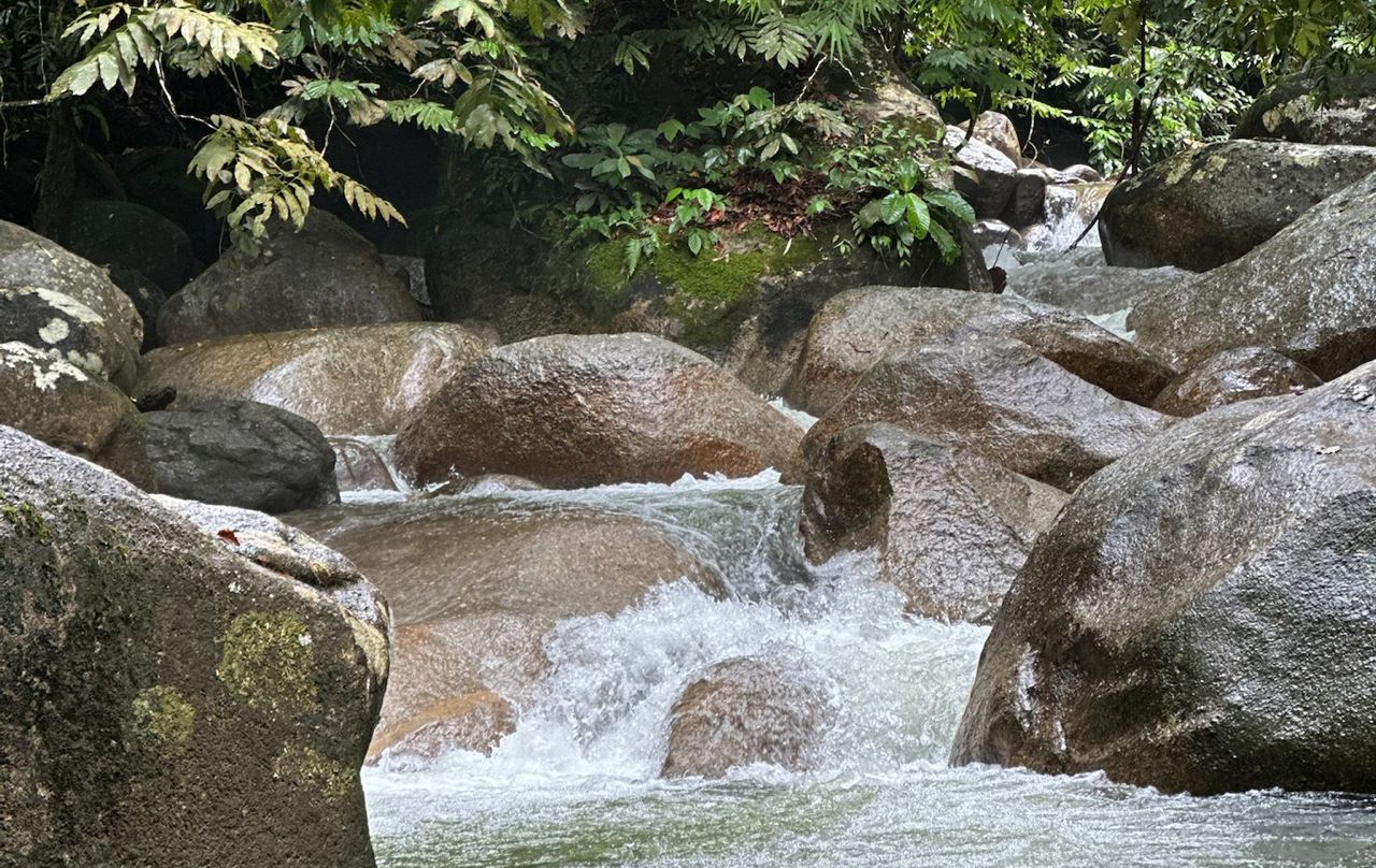 Nature healing scene
