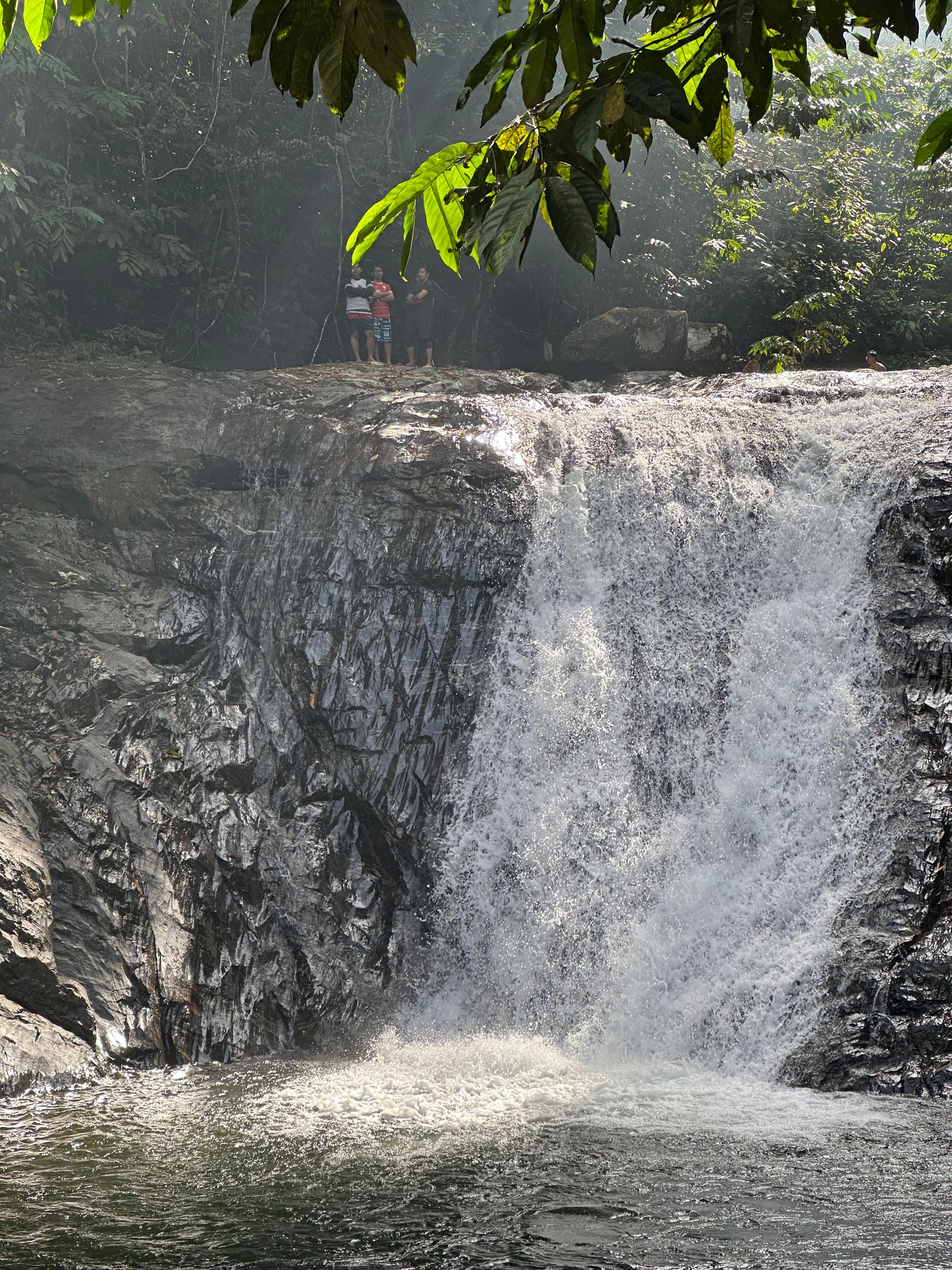 Beautiful waterfall in nature
